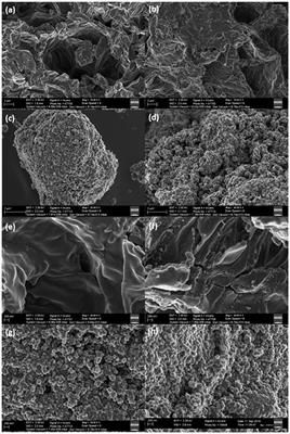 Low Cost, Recyclable and Magnetic Moringa Oleifera Leaves for Chromium(VI) Removal From Water